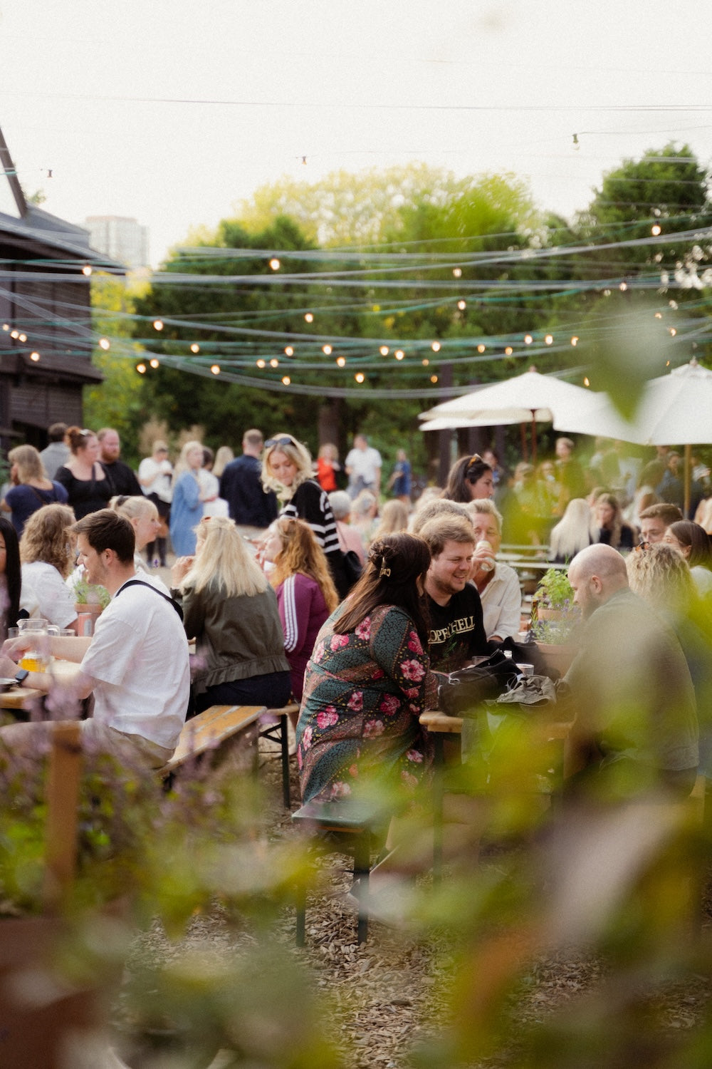 Du får 2 hovedretter til kun 99 kr. på hippe BaneGaarden