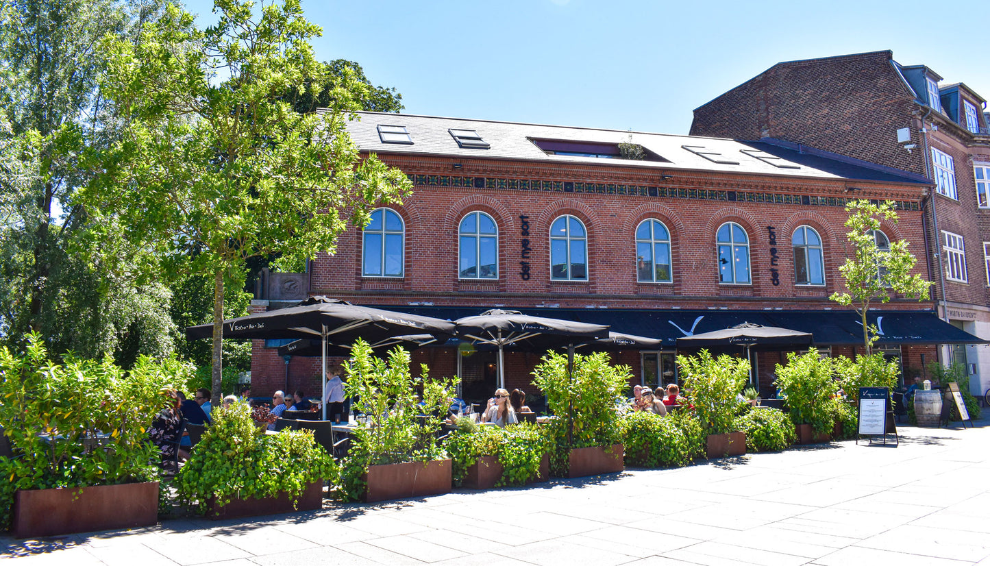 Ny brunch-buffet på Bistro V – kun 149 kr.